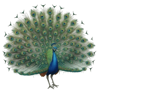 Vastraki Hero Mascot